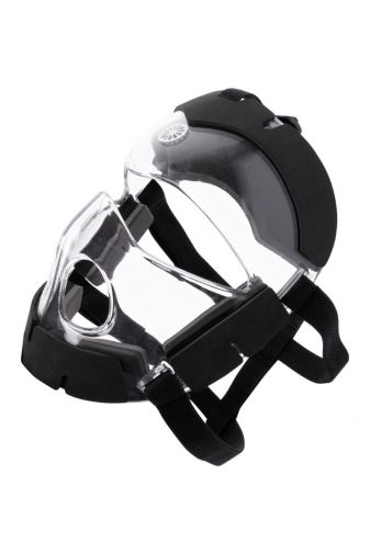 Indian Maharadja Face Guard Corner SR