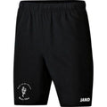 Short Team van der Giessen