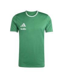 Adidas Ballie Entrada shirt Groen