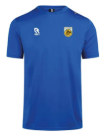 SV Lycurgus trainingshirt