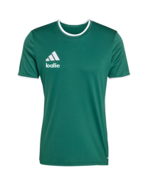 Adidas Ballie Entrada shirt Donkergroen